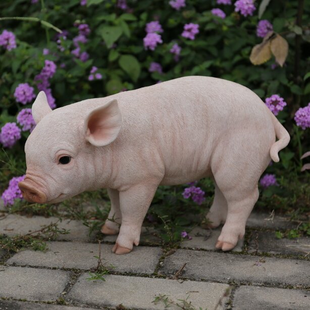 Standing Baby Pig Statue